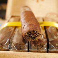 Tatuaje 10th Anniversary Belle Encre Perfecto Cigar - 1 Single
