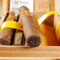 Tatuaje 10th Anniversary Bon Chasseur Robusto Cigar - 1 Single (Discontinued)