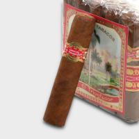 Tatuaje Triunfador Petite Robusto Cigar - Bundle of 25