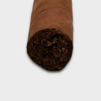 Tatuaje Triunfador Petite Robusto Cigar - 1 Single