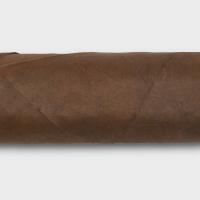 Trident Military Cigars The Few Short Robusto Cigar - 1 Single