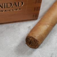 Trinidad Fundadores Cigar - 1 Single