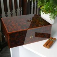 Elie Bleu Classic Walnut Burl Humidor - 75 Cigar Capacity