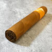 Zino Nicaragua Gordo Cigar - 1 Single