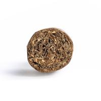 Flor De Oliva Robusto Cigar - 1 Single