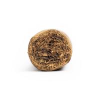 Charatan Original Toro Cigar - 1 Single