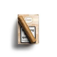 Cusano Dominican Selection Short Robusto Cigar - Bundle of 16