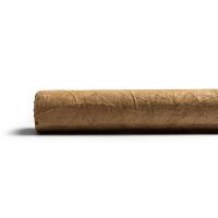 Cusano Dominican Selection Short Robusto Cigar - 1 Single