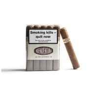 Curivari Buenaventura Picadores Robusto Cigar - Bundle of 10