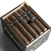 CLE Asylum 13 Robusto Cigar - Box of 25