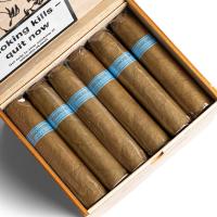 Chinchalero Picadillos Cigar - Box of 24
