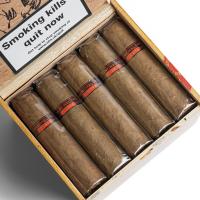 Chinchalero Novillo Fuerte Maduro - Box of 20