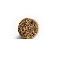 Conquistador Robusto Cigar - 1 Single