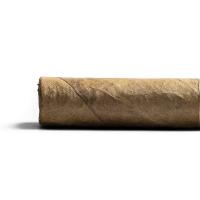 Conquistador Tres Petit Corona Cigar - 1 Single