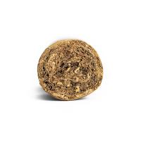 Conquistador Short Robusto Cigar - 1 Single