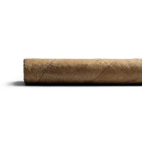 Conquistador Petit Corona Cigar - 1 Single