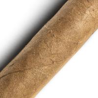 Conquistador Panatella Cigar - 1 Single