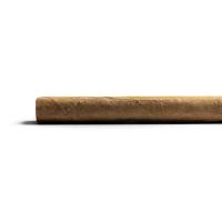 Conquistador Panatella Cigar - 1 Single