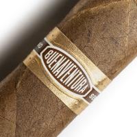 Curivari Buenaventura BV 500 Cigar - 1 Single