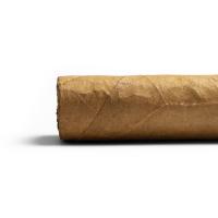 Chinchalero Novillo Cigar - 1 Single