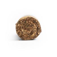 Chinchalero Esportivo Cigar - 1 Single