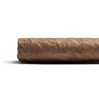 Don Tomas Clasico Lindos Cigar - 1 Single