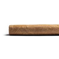 Don Tomas Nicaragua Toro - 1 Single