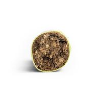 Don Pepin Garcia by My Father Cigars Series VC Invictos - 1 Single (End of Line)