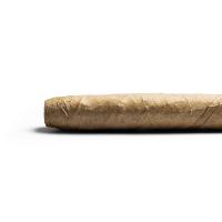 De Olifant - Tuit Senoritas - Knakje XO Cigar - 1 Single
