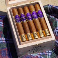 Amar by AJ Fernandez Robusto Cigar - 1 Single