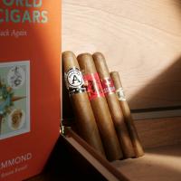 Around the World Compendium Sampler - 4 Cigars, Humidor and Around the World in 80 Days Book