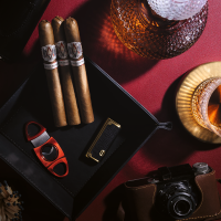AVO Expressions Limited Edition 2024 Cigar - Box of 15