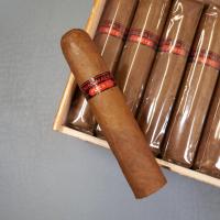 Chinchalero Picadillo Maduro Cigar - 1 Single