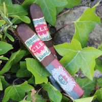 CLE 25th Anniversary Robusto Cigar - 1 Single