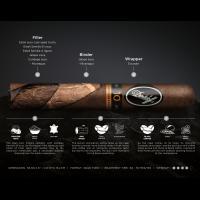 Davidoff Nicaragua 10th Anniversary Gran Toro Limited Edition Cigar - 1 Single