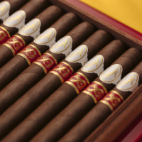 Davidoff Year Of The Snake 2025 Cigar - Box of 10 - LIMITED EDITION