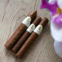 Davidoff Winston Churchill Dominican Republic Sampler - 3 Cigars