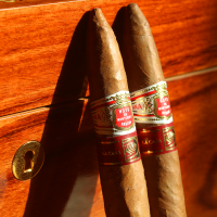 LCDH Hoyo de Monterrey Elegantes Cigar - 1 Single