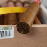 H. Upmann Magnum 46 Cigar - 1 Single