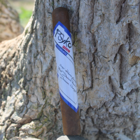 PSyKo 7 Nicaraguan Toro Cigar - 1 Single (End of Line)