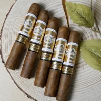 Regius Orchant Seleccion Peru 2025 Robusto Cigar - 1 Single