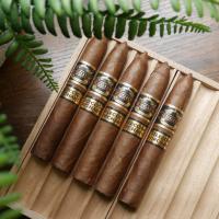 FLASH SALE - Humidor Top Up - Regius Orchant Seleccion Nicaragua 2024 Campana Sampler - 5 Cigars