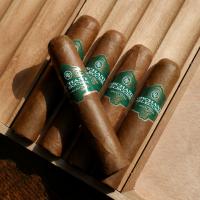 FLASH SALE - 5 FOR 50 - Rocky Patel Orchant Seleccion Petit Robusto Sampler - 5 Cigars