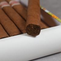 Romeo y Julieta Petit Coronas Cigar - 1 Single