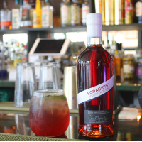 Snowdonia Foragers Soulful Sloe Gin - 30% 70cl
