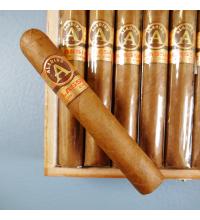 Aladino Classic Robusto Cigar - 1 Single