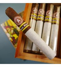 JANUARY SALE - Aladino Corojo Reserva No. 4 Limited Edition Cigar - 1 Single