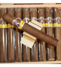 Aladino Corojo Corona Cigar - 1 Single