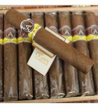 Aladino Corojo Robusto Cigar - 1 Single