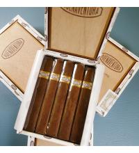 Curivari Buenaventura BV 500 Cigar - Box of 10